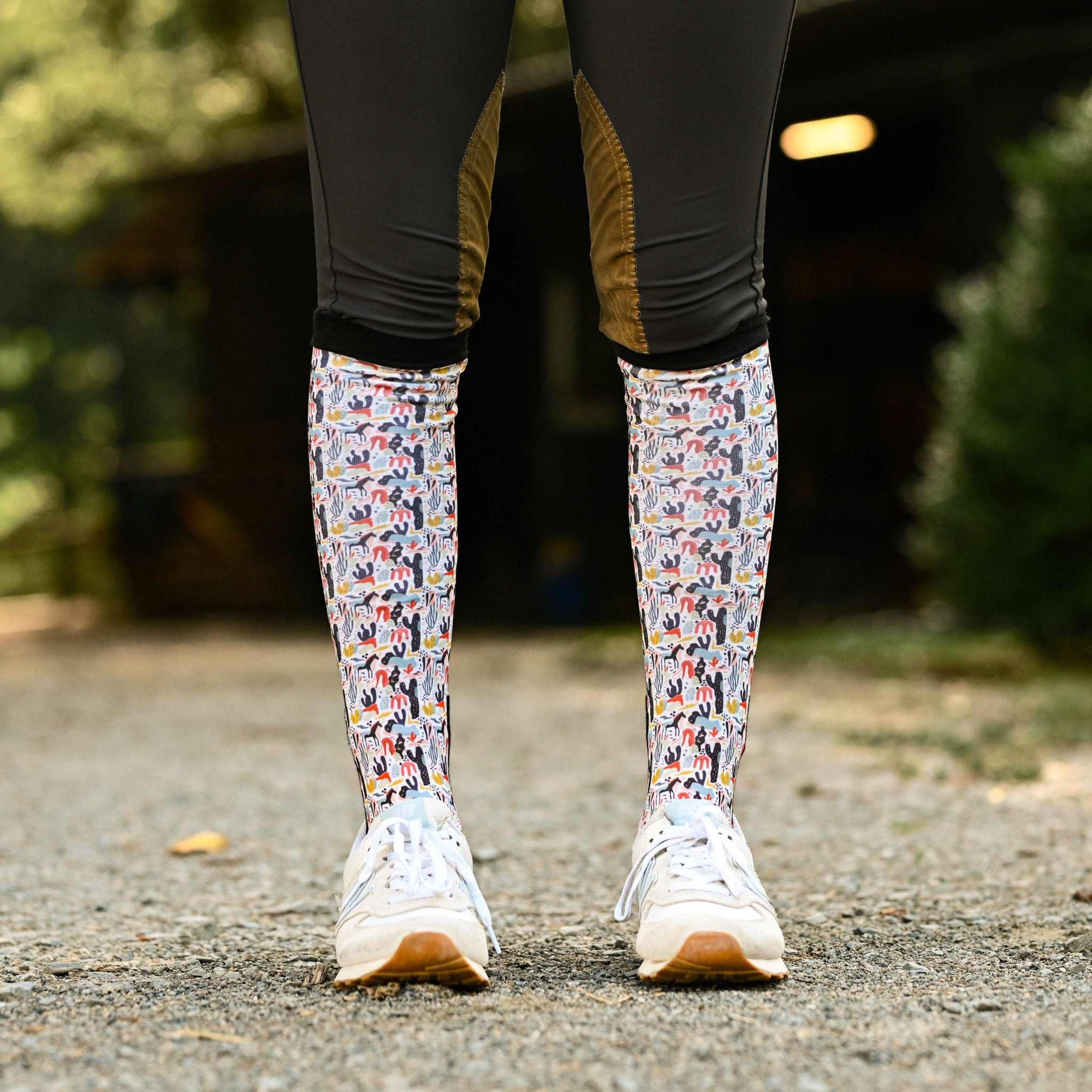 Dreamers & Schemers New Mexico Pair & A Spare Socks WS