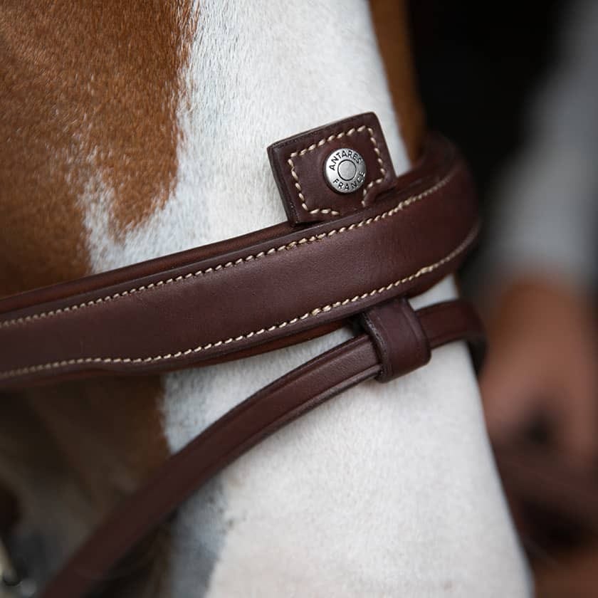 Antares Origin Jumping Line - Full (Size 2)