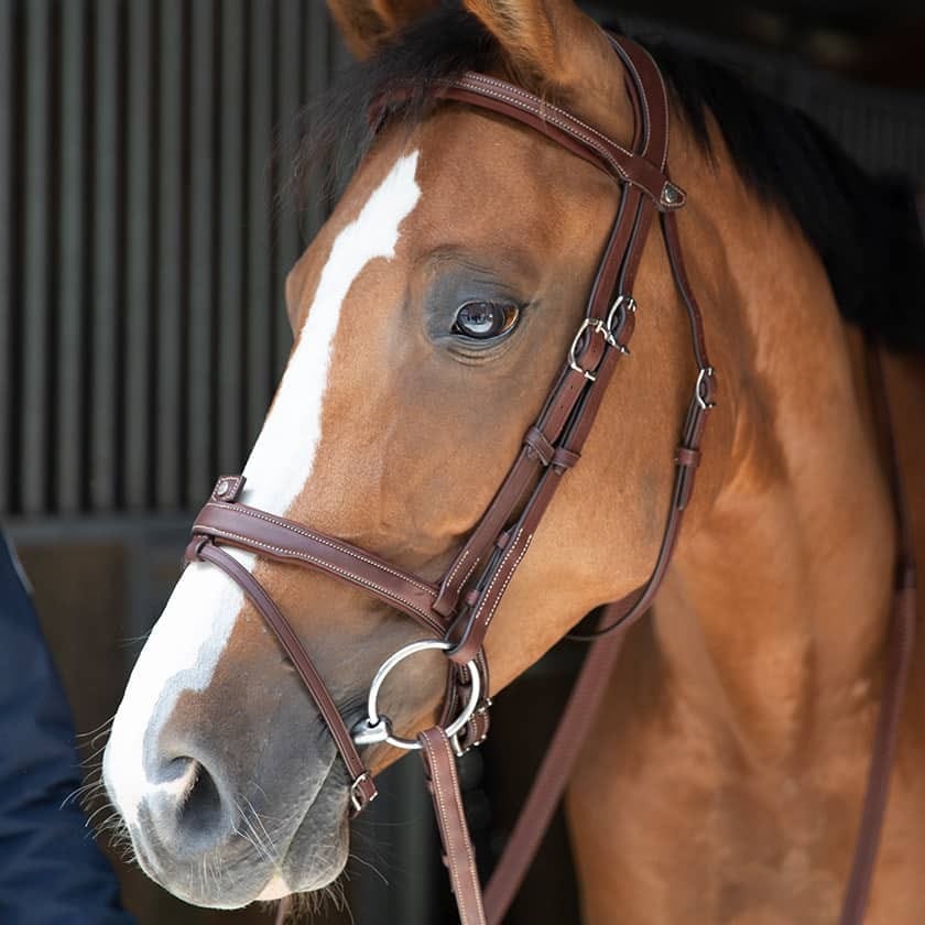 Antares Origin Jumping Line - Full (Size 2)