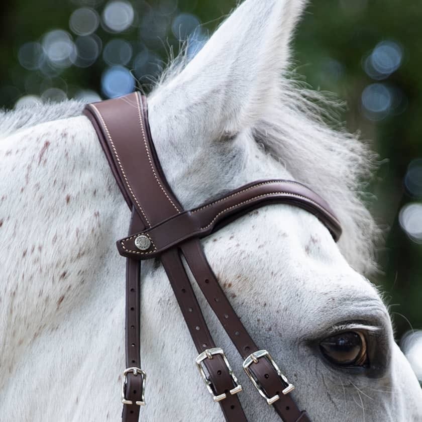 Antares Origin Jumping Line - Full (Size 2)