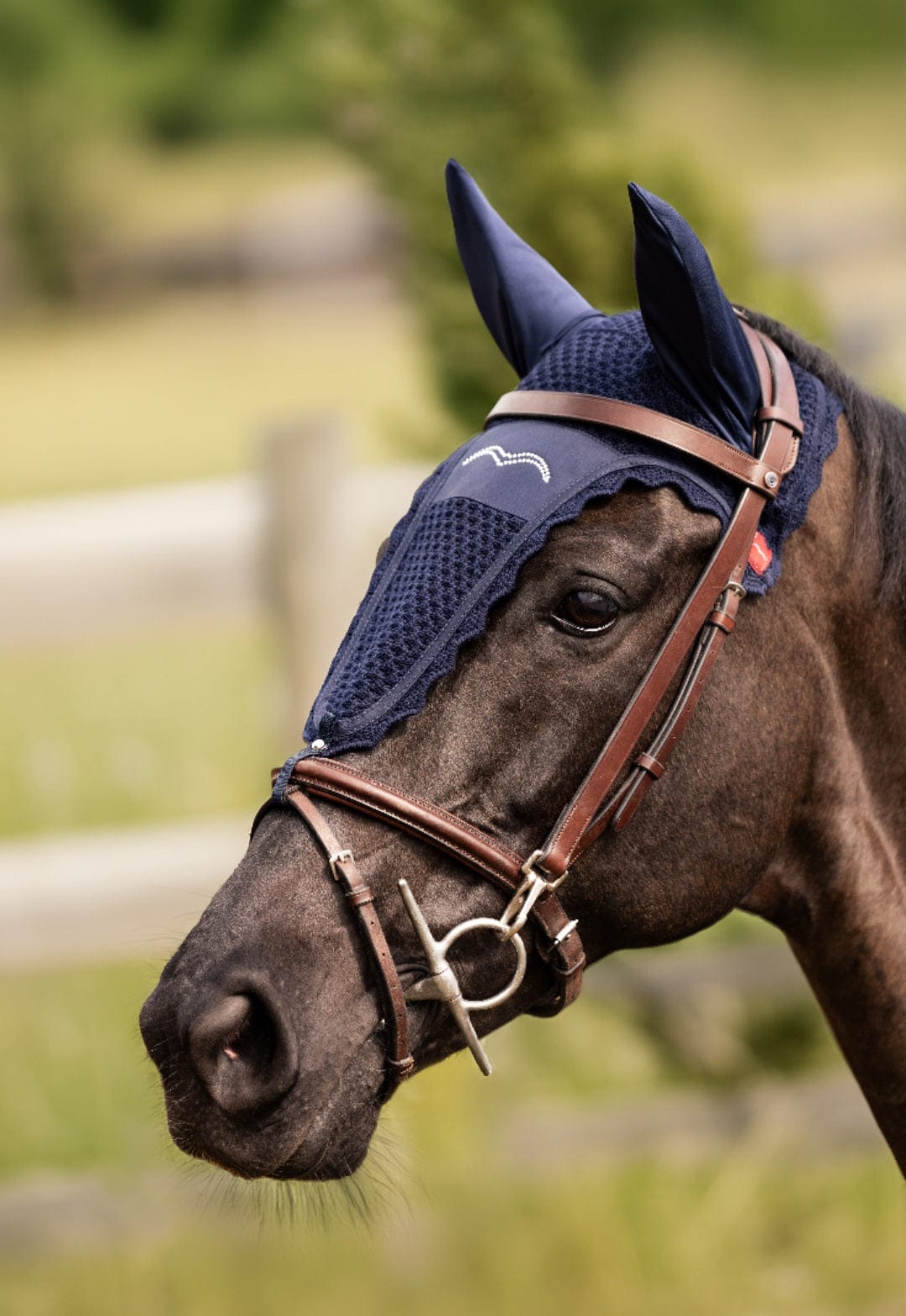 Animo Italia- Cade Ear Bonnet- 25TF