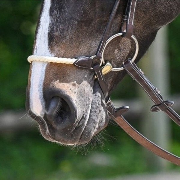Jump In Wednesday Combination Noseband Black