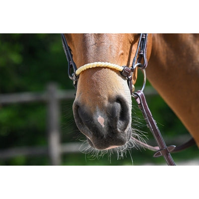 JUMP'IN - Rope Drop Noseband - Havana