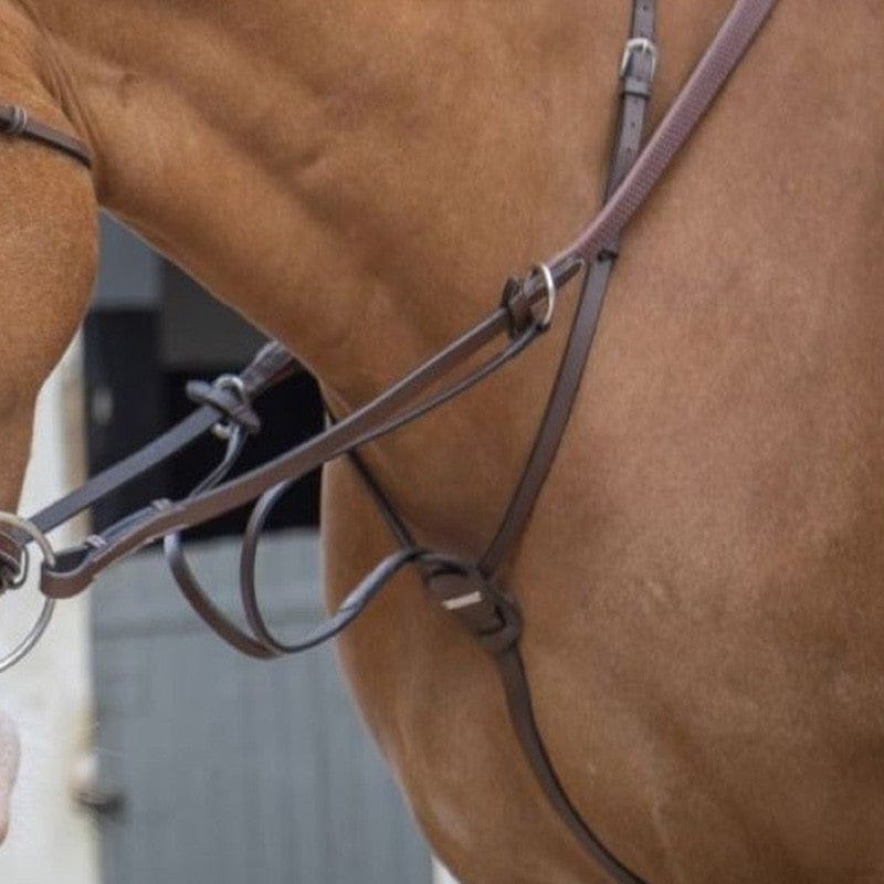 Jump'In One Collection Running Martingale