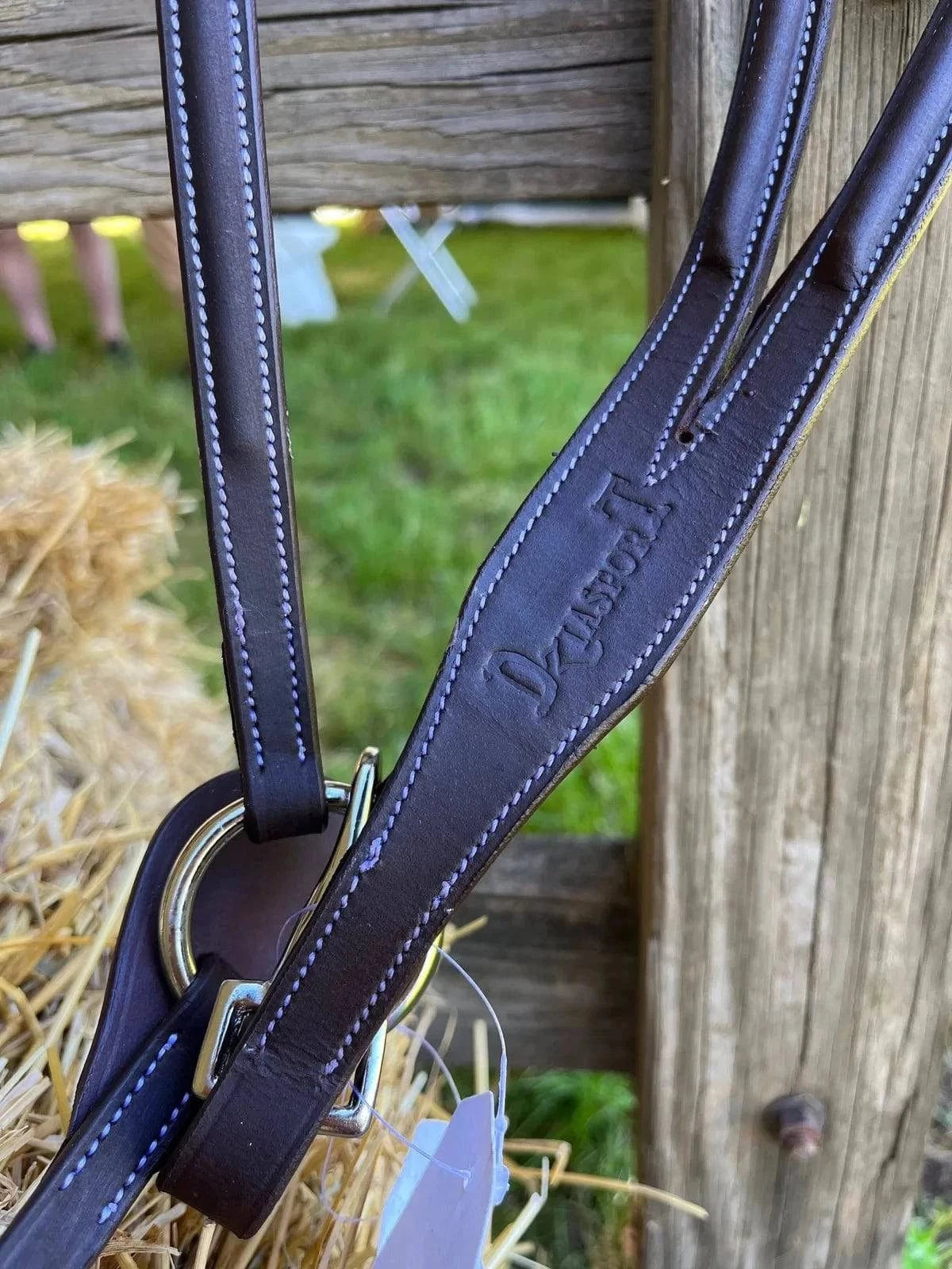 DziaSport - Running Martingale Attachment - Exceptional Equestrian