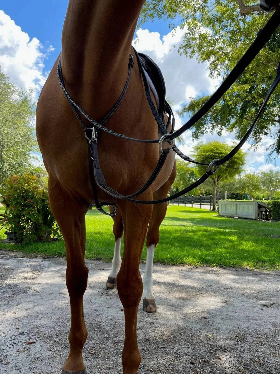 DziaSport - Running Martingale Attachment - Exceptional Equestrian 