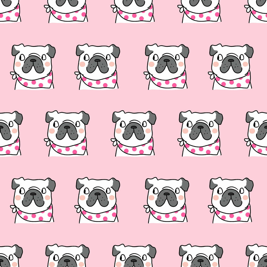 Dreamers & Schemers Side Eye Pair & A Spare Socks