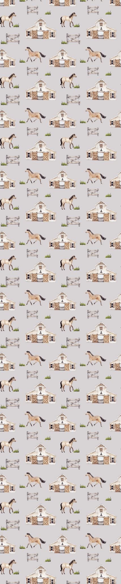 DREAMERS & SCHEMERS  - The Barn Pair & a Spare Socks