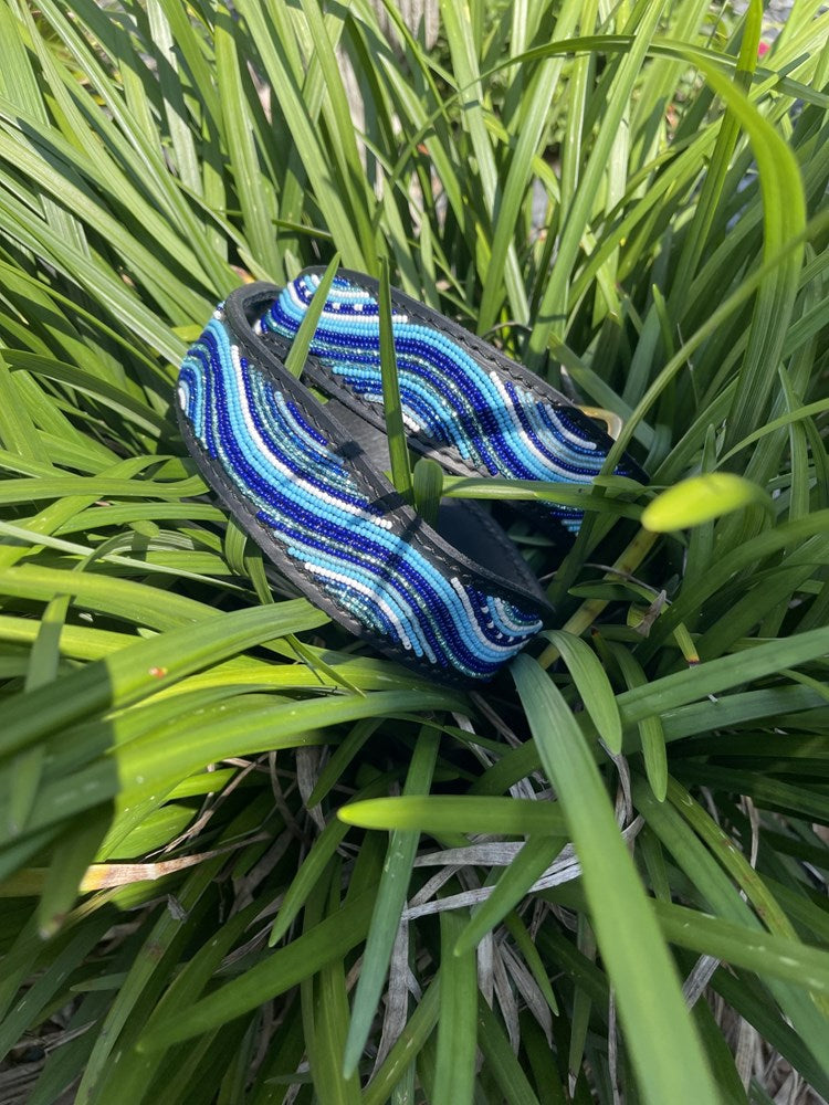 "The Wave" Dog Lead