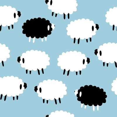 Dreamers & Schemers Who's a Black Sheep Pair & A Spare Socks