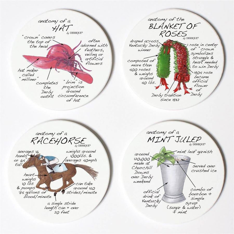 Dishique - Derby Anatomy Coasters - Exceptional Equestrian 