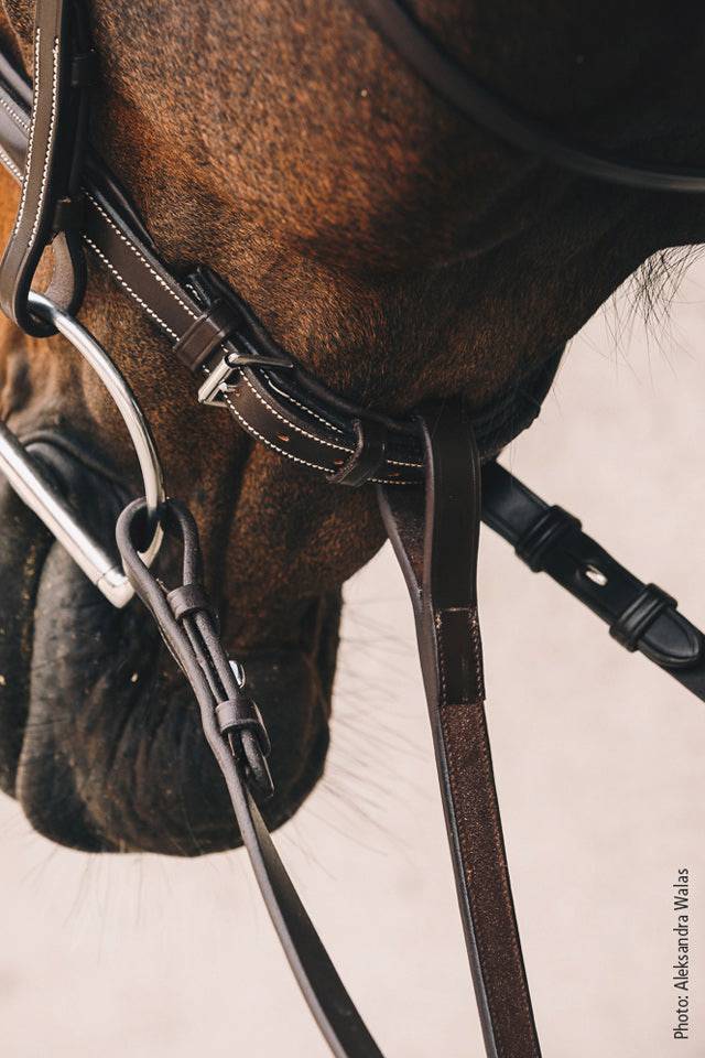 Schockemöhle - Martingale Santa Clara Select - Exceptional Equestrian