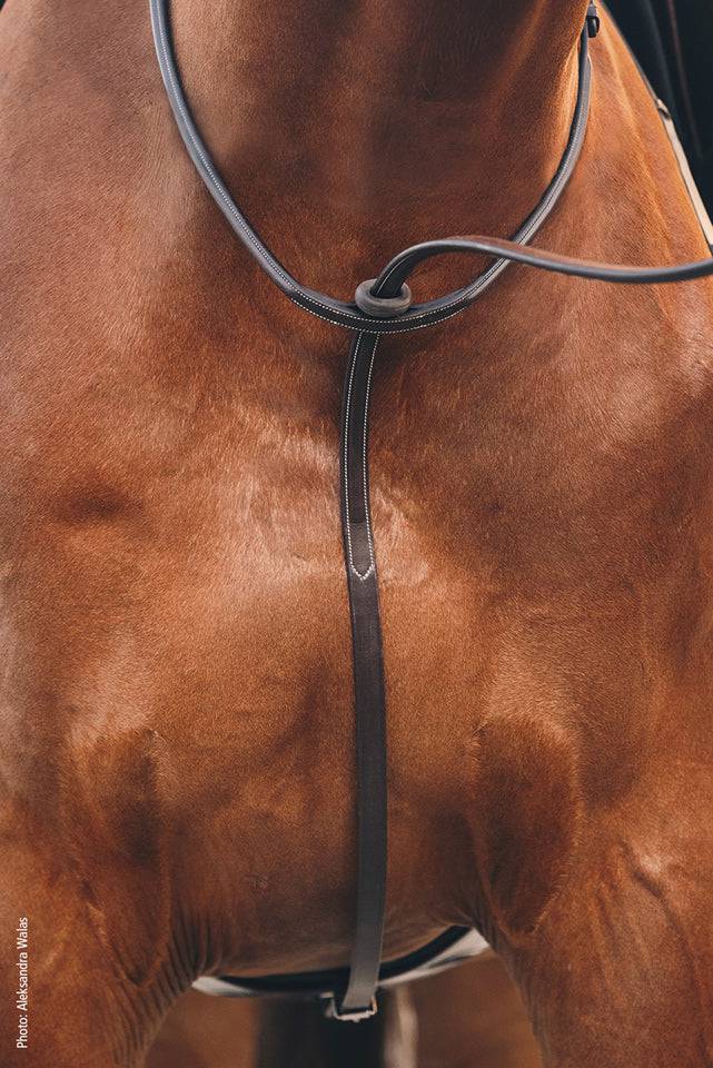 Schockemöhle - Martingale Santa Clara Select - Exceptional Equestrian