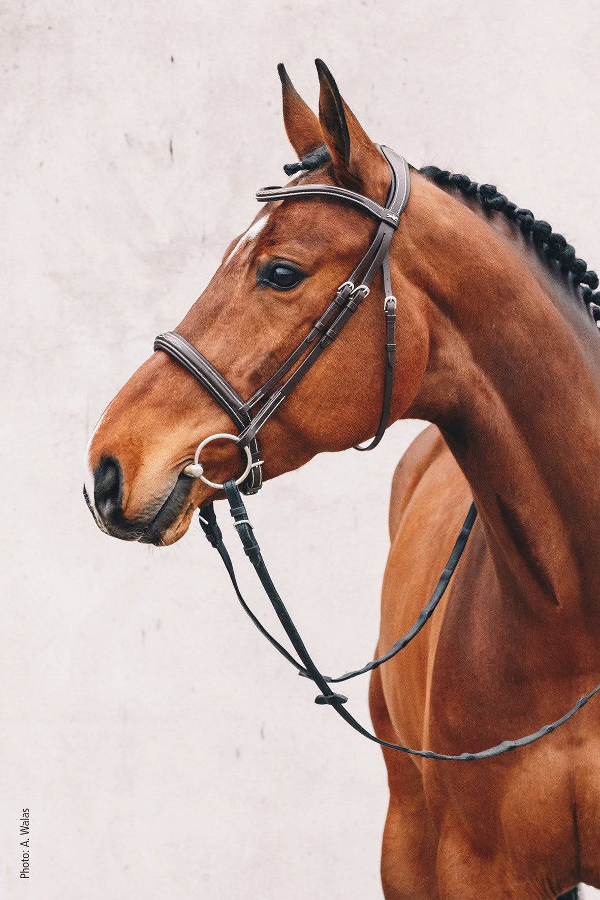 Schockemöhle - MONTREAL SELECTANATOMIC BRIDLE - Exceptional Equestrian