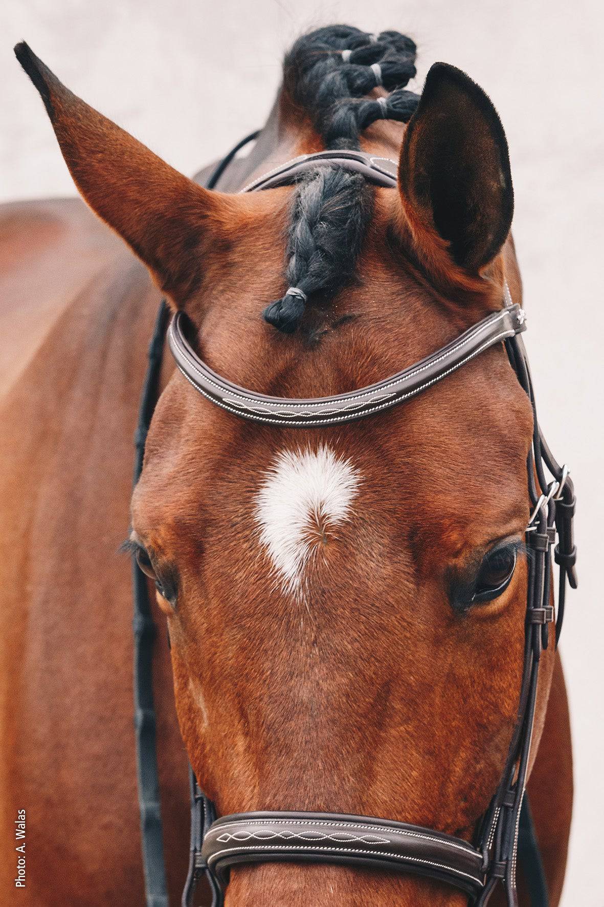 Schockemöhle - MONTREAL SELECTANATOMIC BRIDLE - Exceptional Equestrian