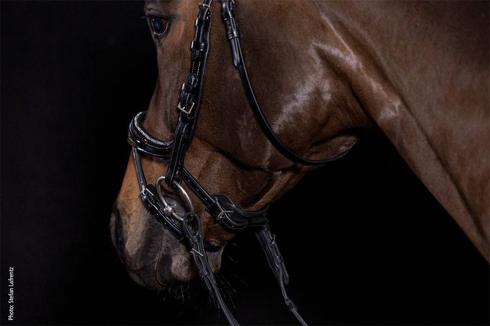 Schockemöhle - Equitus Beta Glam Bridle - Exceptional Equestrian