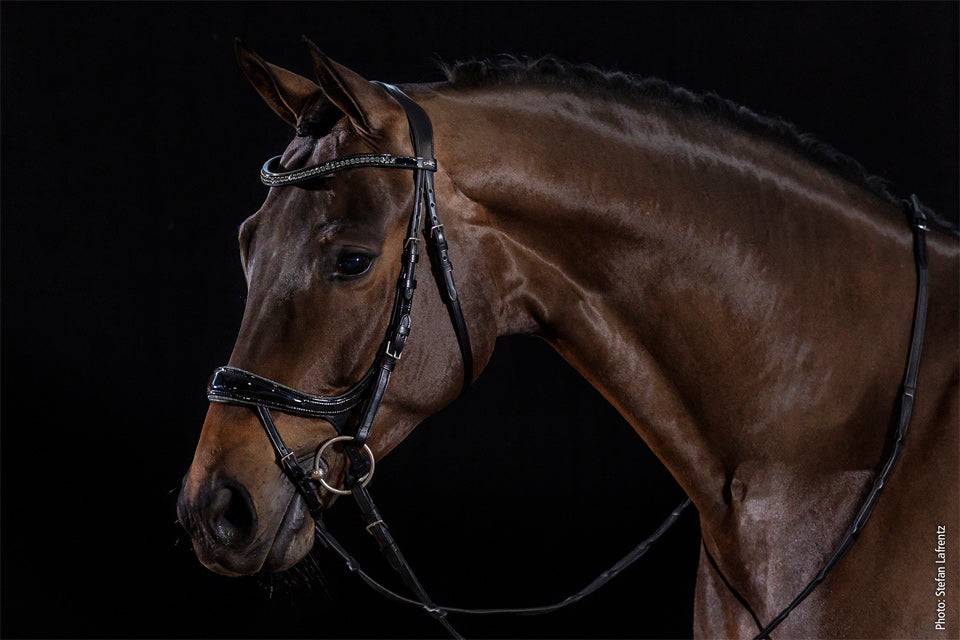 Schockemöhle - Equitus Beta Glam Bridle - Exceptional Equestrian