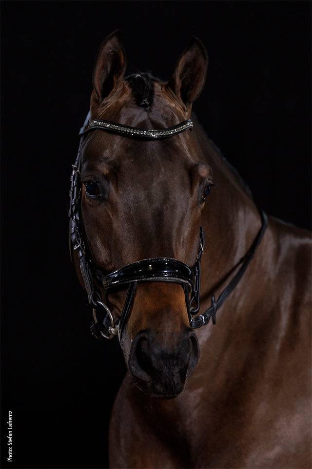 Schockemöhle - Equitus Beta Glam Bridle - Exceptional Equestrian