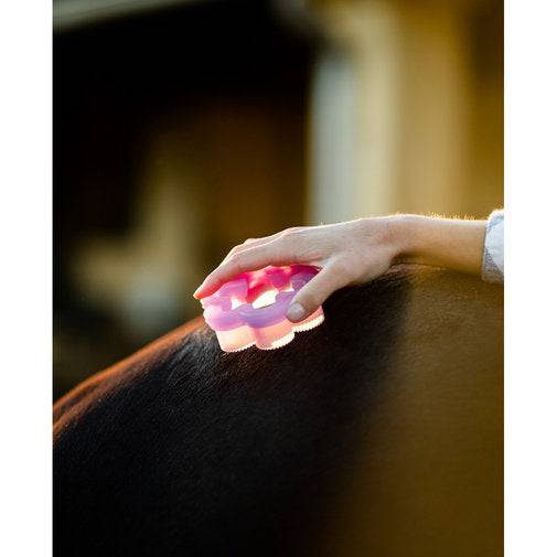 Epona Shed Flower - Exceptional Equestrian