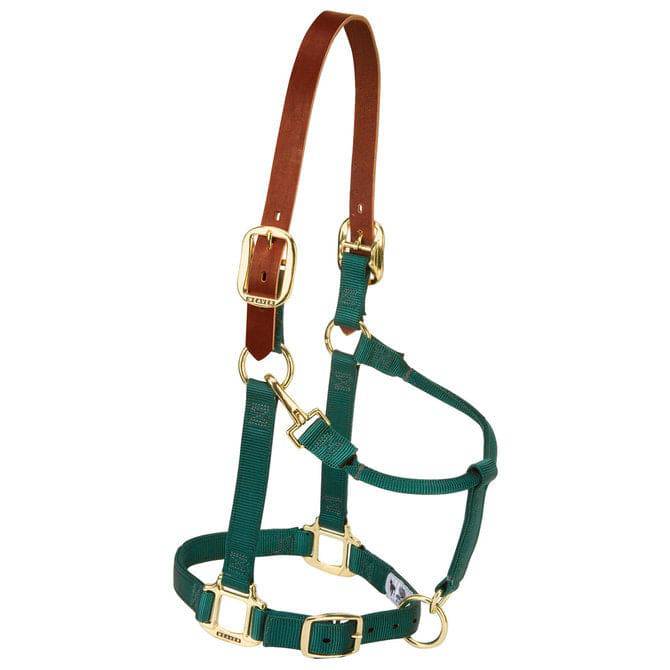 Weaver Leather Nylon Breakaway Halter for Horses - Exceptional Equestrian 