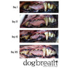 Herbsmith Dog Breath Dental Treats