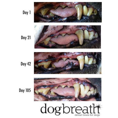 Herbsmith Dog Breath Dental Treats