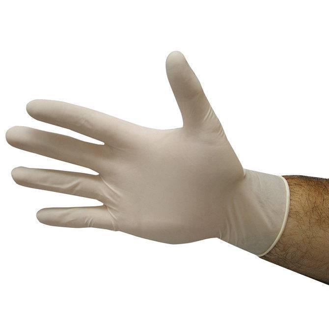 Ideal Powder-Free Latex Gloves - Exceptional Equestrian