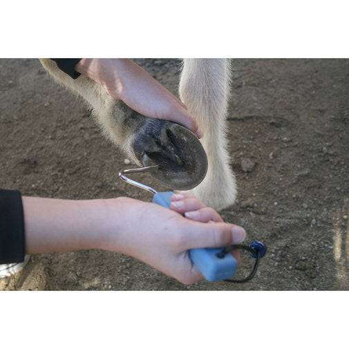 Epona Winning Hoof Pick - Exceptional Equestrian