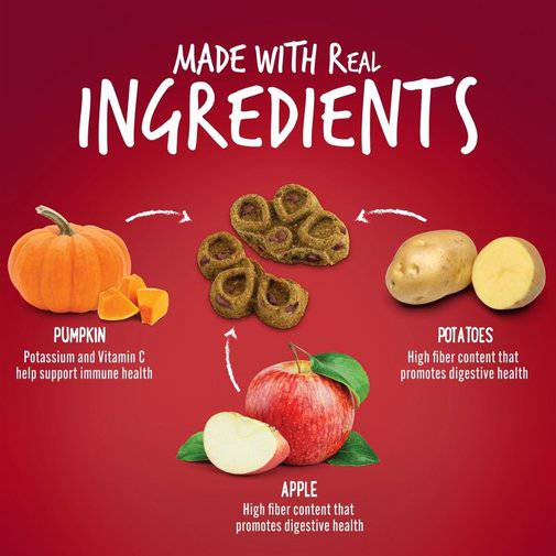 Fruitables Biggies Baked Dog Treats 16 oz - Exceptional Equestrian