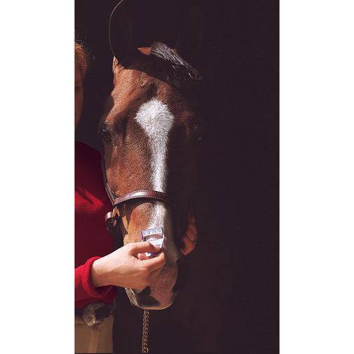 Weaver Leather Horse Shave - 2pk - Exceptional Equestrian