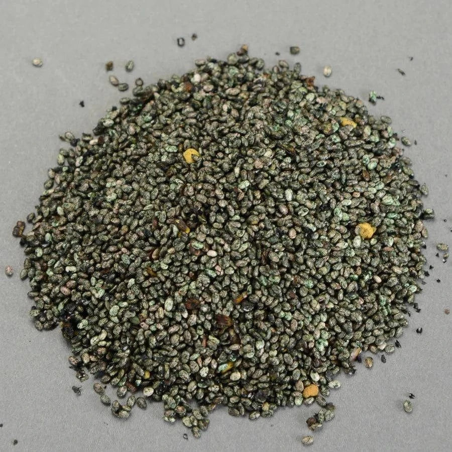 StableFeed SPIRULINA CANISTER - Exceptional Equestrian