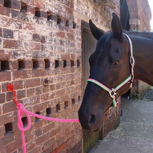Perry Equestrian SafeTie - Exceptional Equestrian
