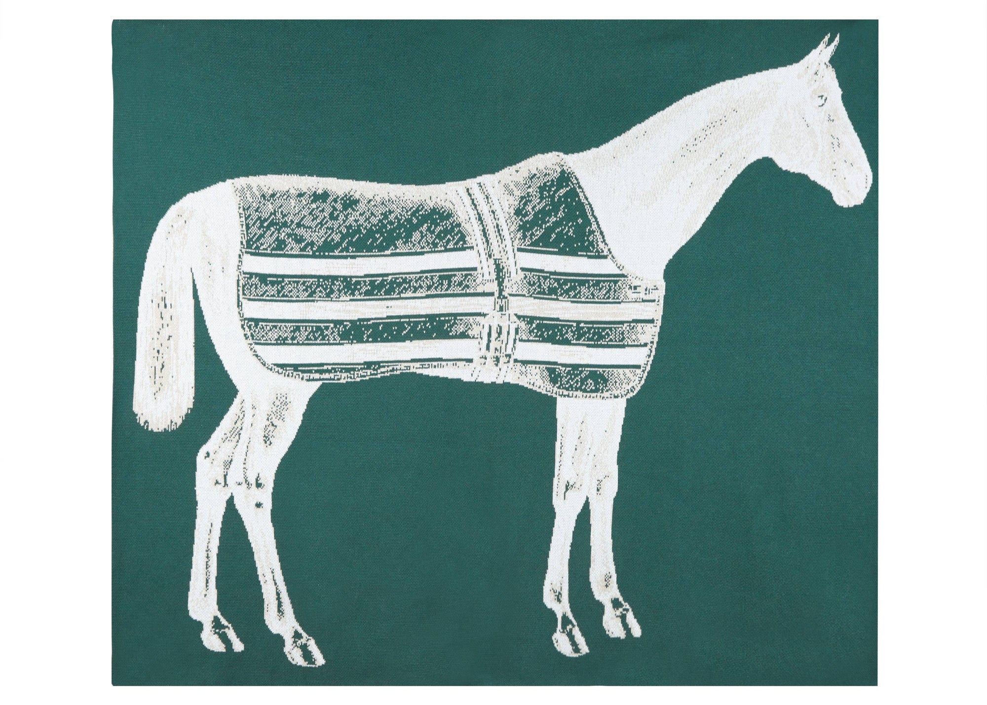 ThomasPaul - THOROUGHBRED THROW HUNTER - Exceptional Equestrian