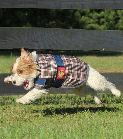 5/A Baker® Dog Blanket - Exceptional Equestrian