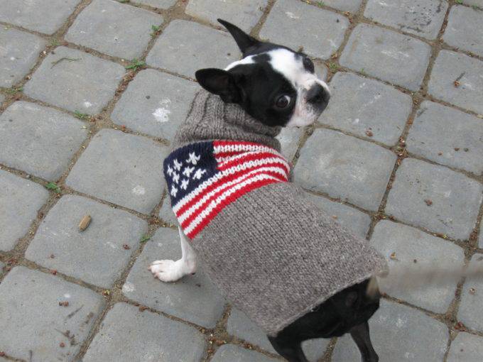 Chilly Dog Sweaters - Exceptional Equestrian 