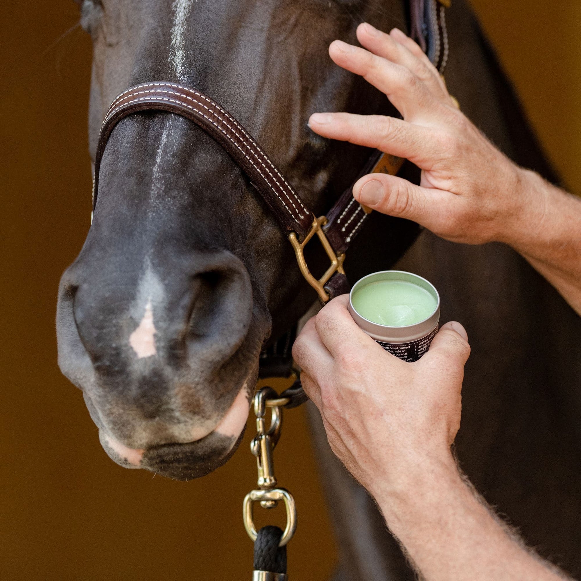 Equifit AgSilver CleanBalm™ - Exceptional Equestrian