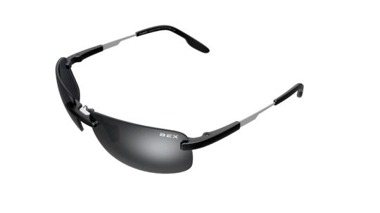 BEX BRACKLEY X - Exceptional Equestrian