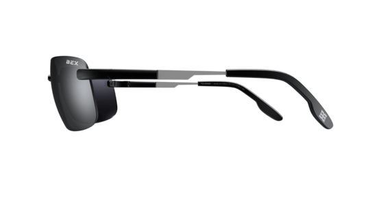 BEX BRACKLEY X - Exceptional Equestrian