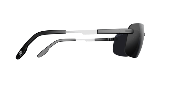 BEX BRACKLEY X - Exceptional Equestrian