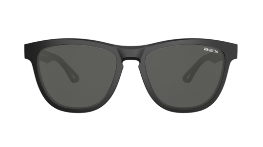 BEX GRIZ - Exceptional Equestrian