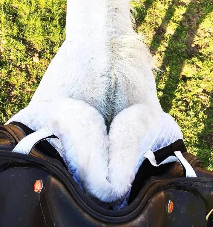 Majyk Equipe Ergonomics Full Fleece Half Pad with Impact Protection Shims - Exceptional Equestrian