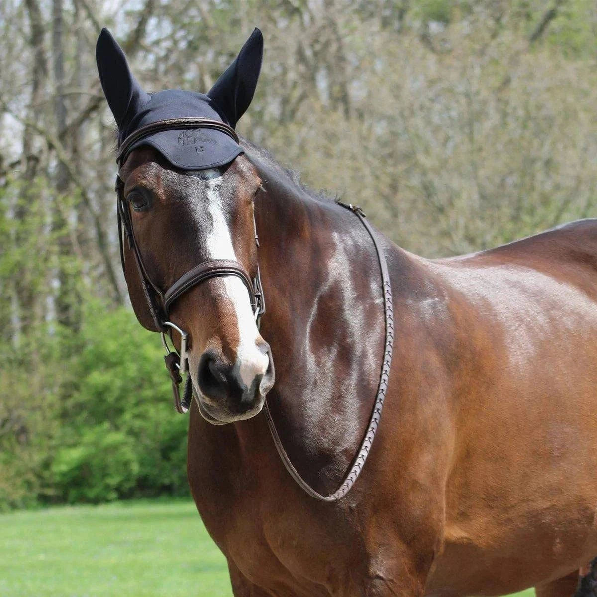 Fenwick Liquid Titanium® Ear Bonnet - Exceptional Equestrian