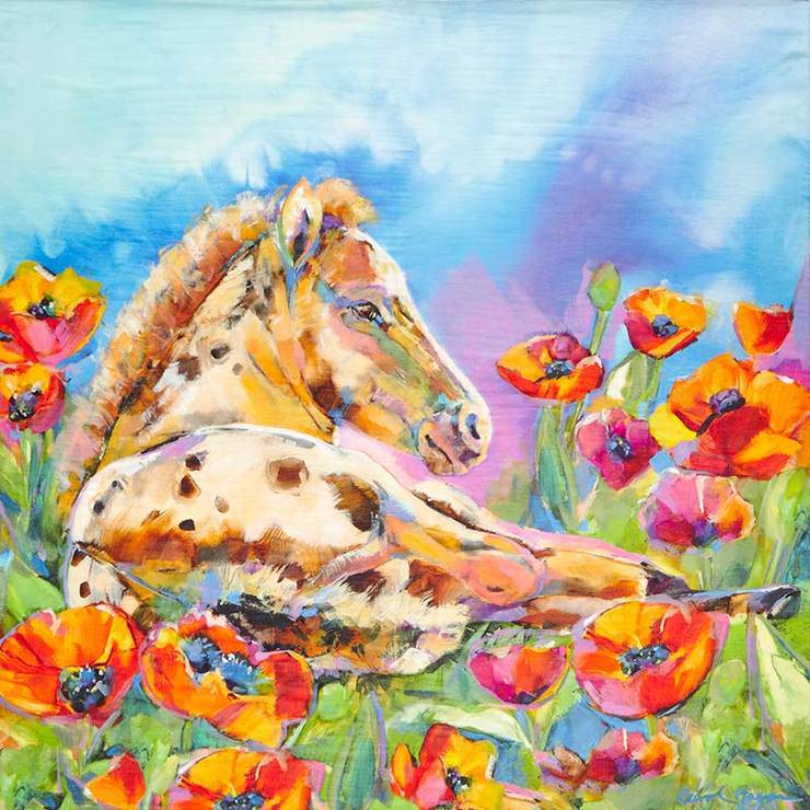 Alpine Cashmere Poppy Princess - Exceptional Equestrian