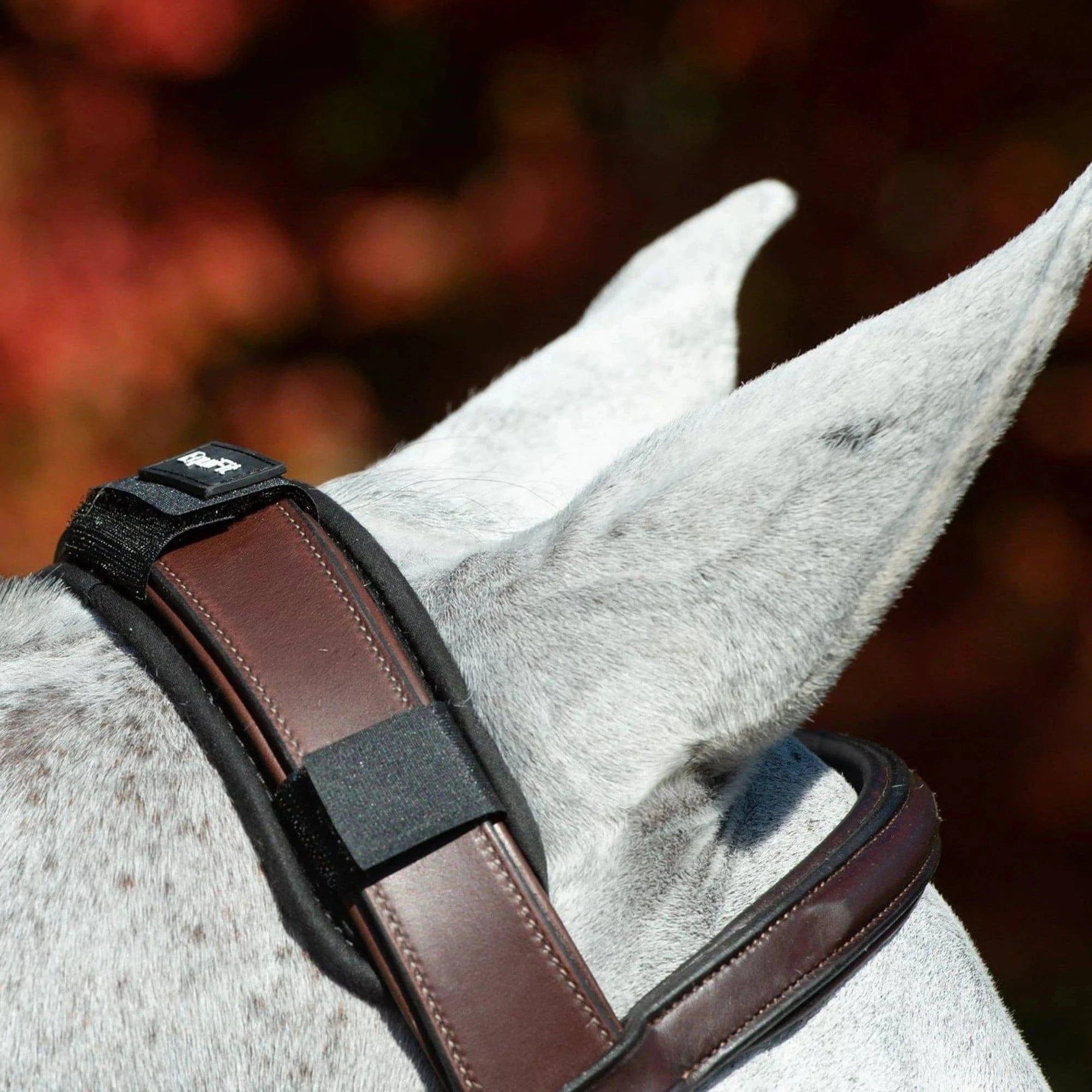 Equifit ImpacTeq™ CrownPad™ - Exceptional Equestrian