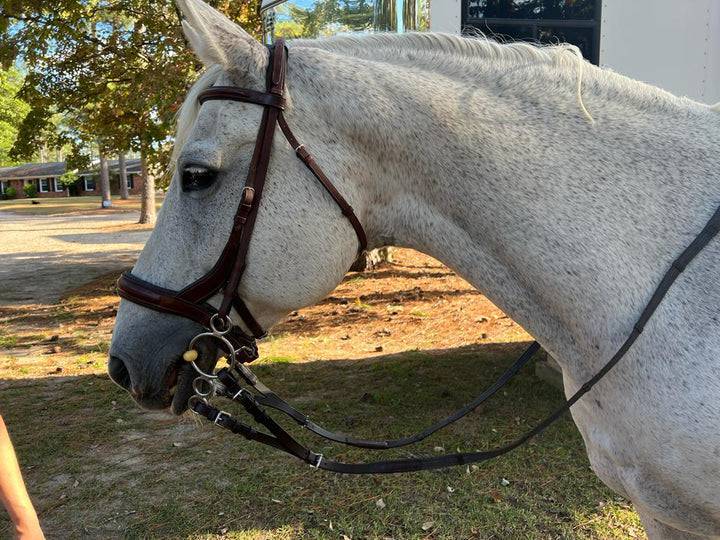 Correct Connect™ - Split Sure Grip Rubber Reins - Exceptional Equestrian