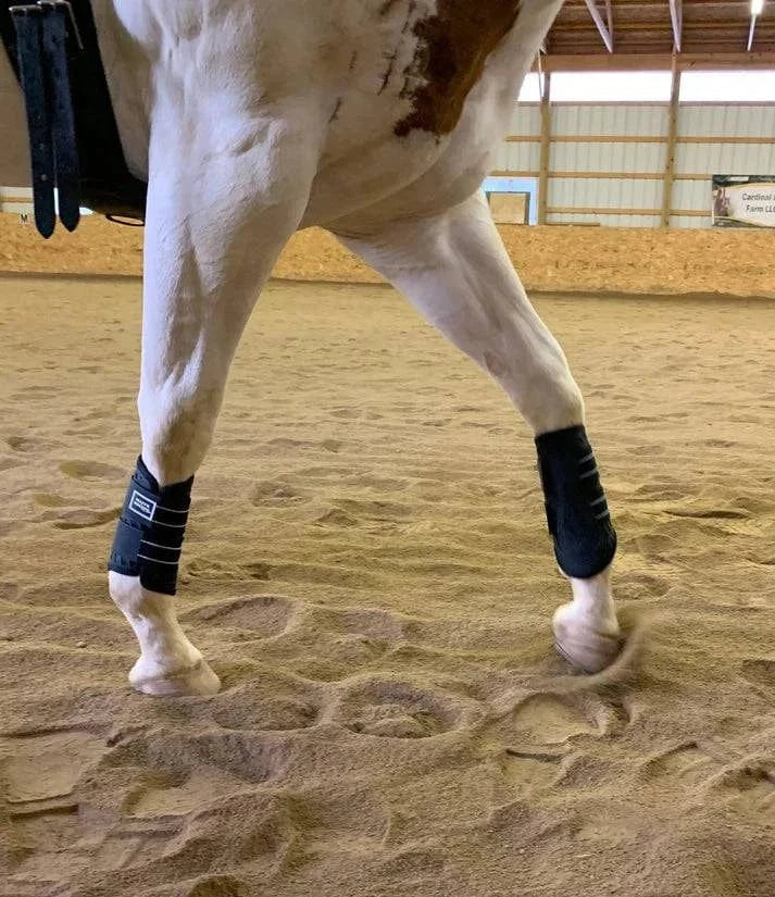 Majyk Equipe Sport Boot (Dressage) - Exceptional Equestrian