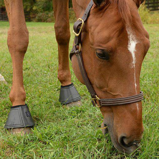 Equifit Essential® BellBoot™ - Exceptional Equestrian 