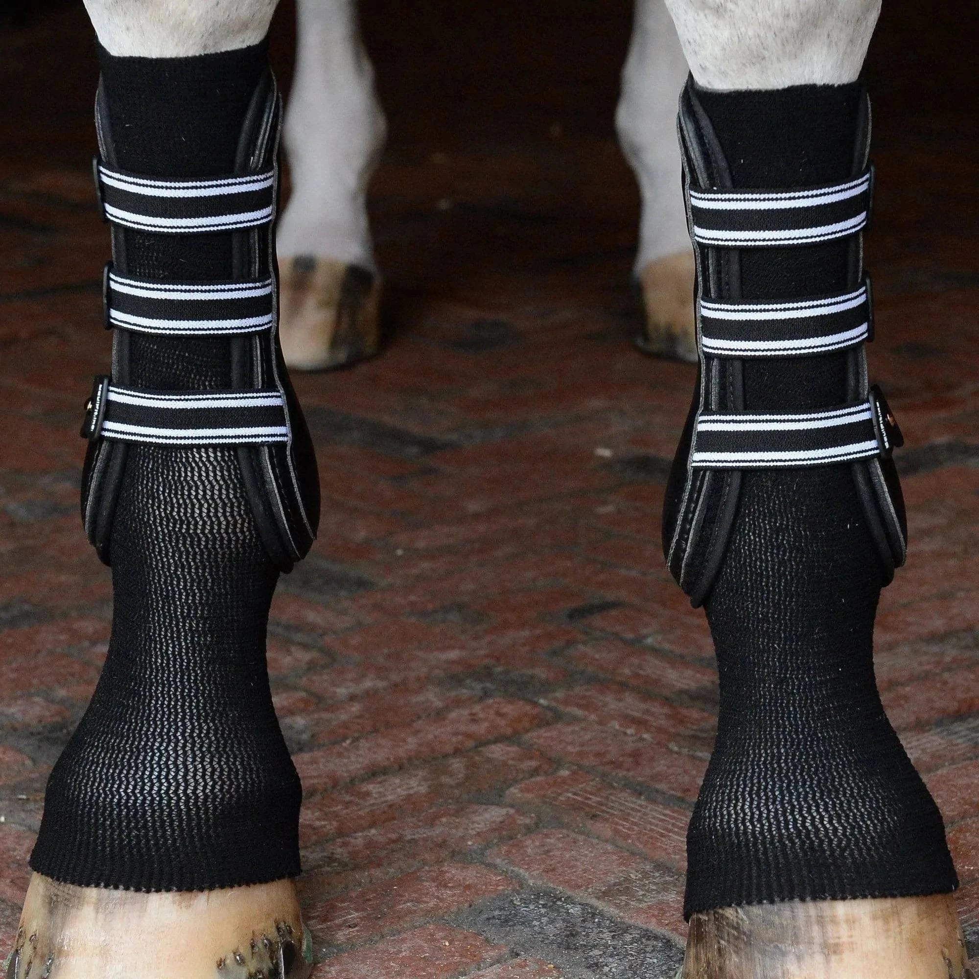 Equifit ™  Gel Sox™ for Horses - Exceptional Equestrian