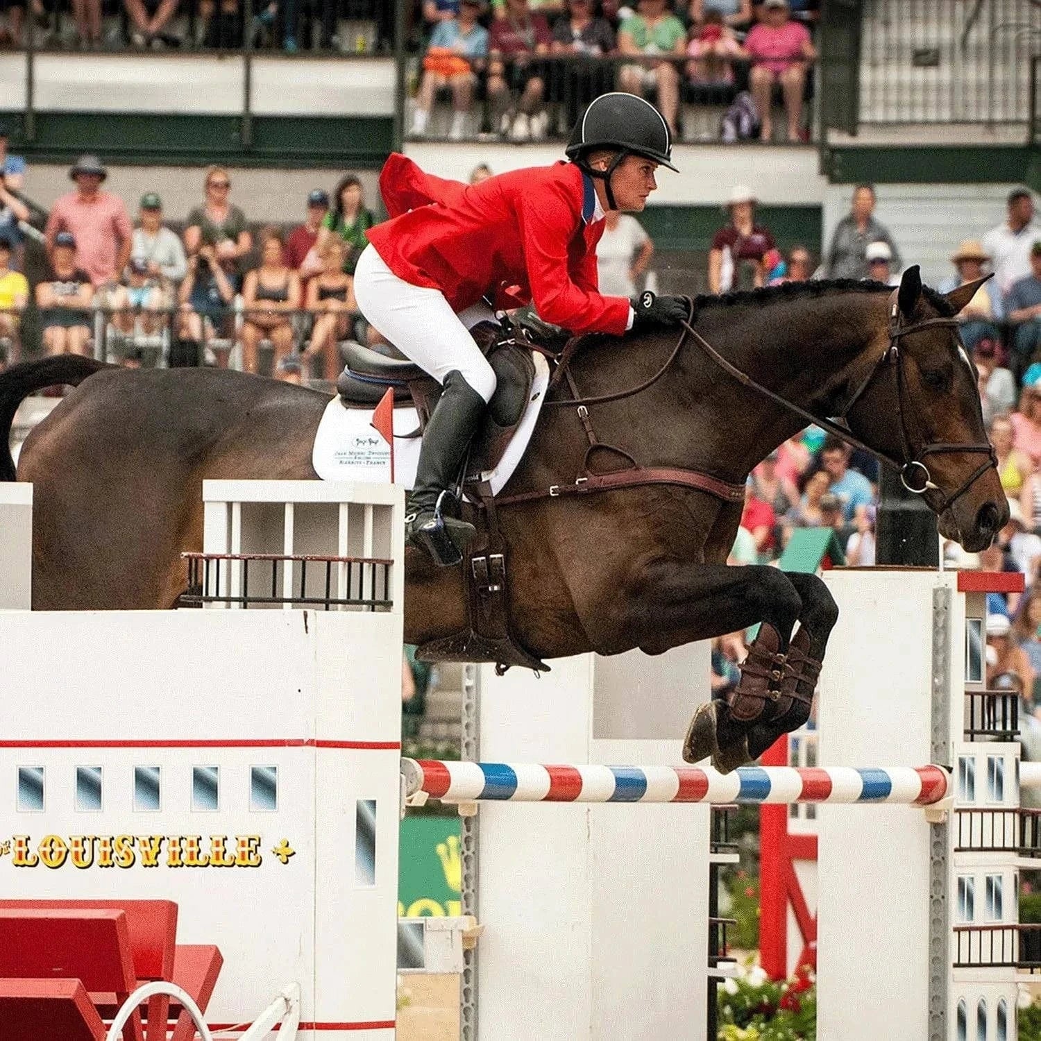 Majyk equipe 2025 dressage boots