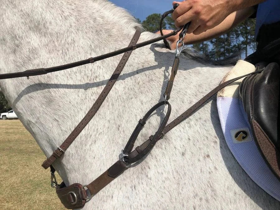 Correct Connect™ - 3-in-1 Training Breastplate - Exceptional Equestrian